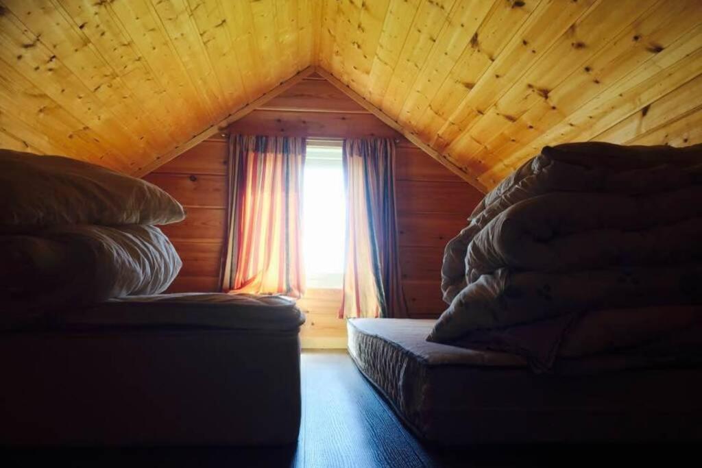 Arctic House By The Sea, Vadso, Varanger المظهر الخارجي الصورة